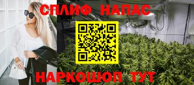 дмт Гусев