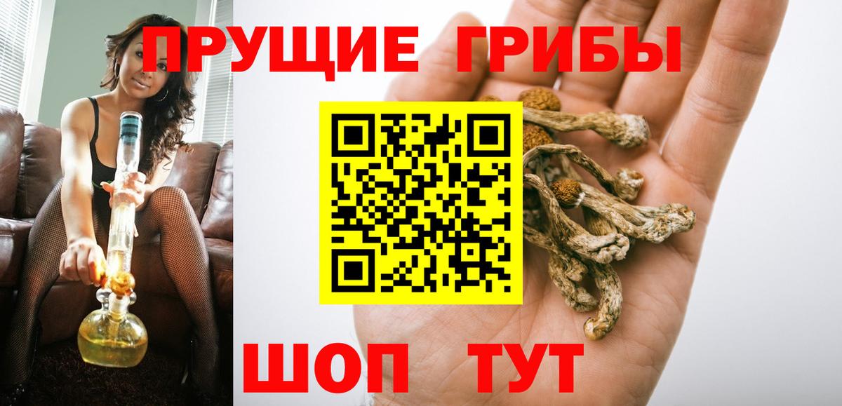 Котовск  Псилоцибиновые грибы прущие грибы  Вход с VPN  Псилоцибиновые грибы мухоморы 